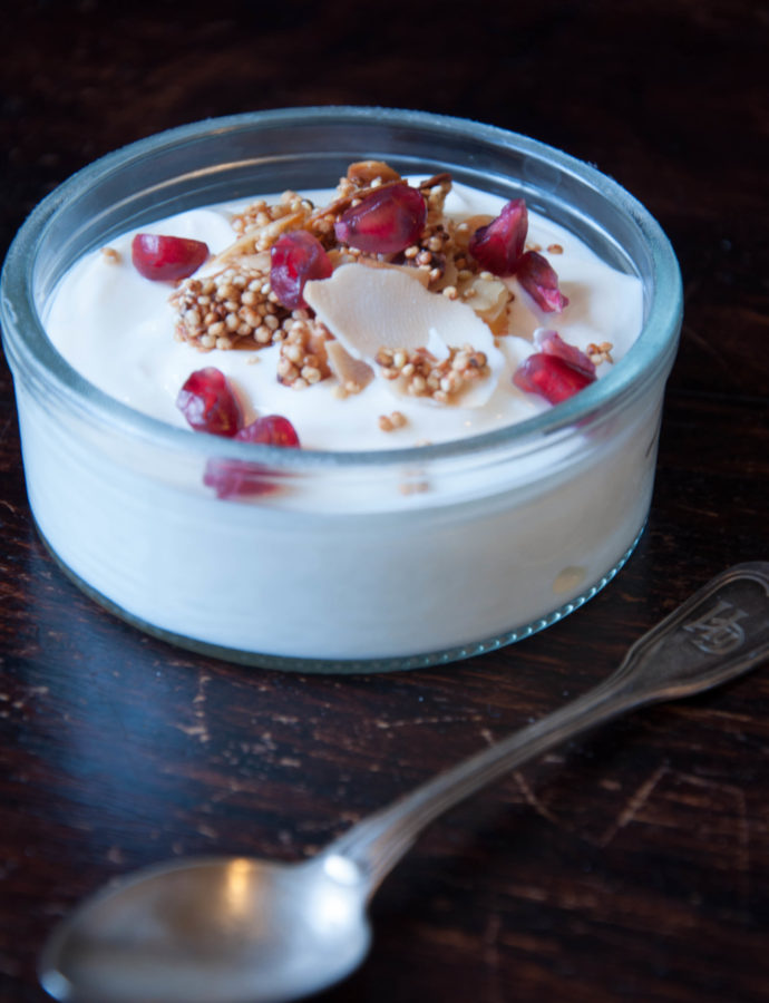 Quinoa Granola mit Kokoschips