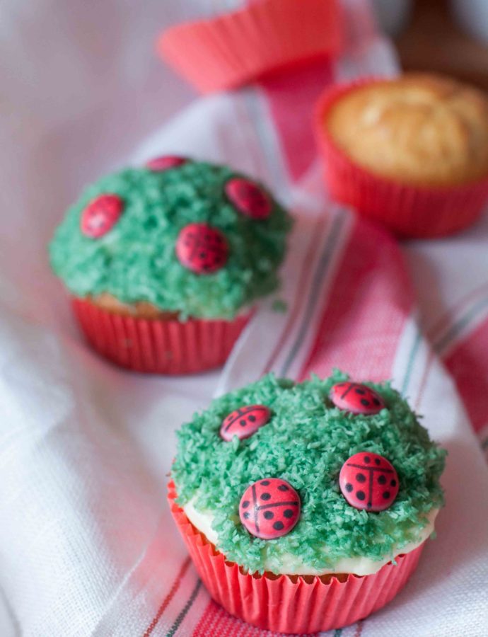 Marienkäfer Cupcakes mit Smarties – Mein Gastbeitrag bei „Hallo liebe Wolke“