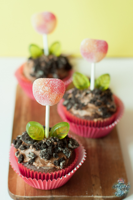 Schokoladige Blumentopf-Cupcakes für den Frühling